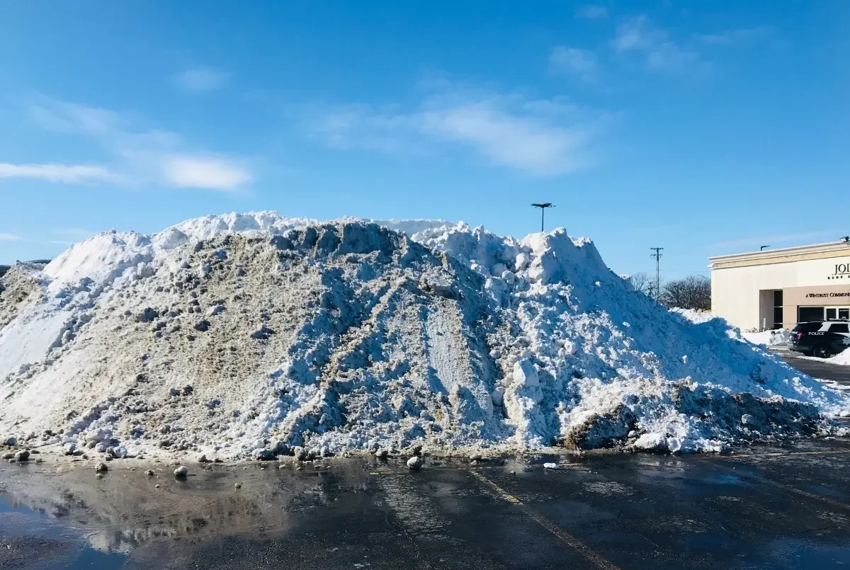 snowpilemaryc 16232325581